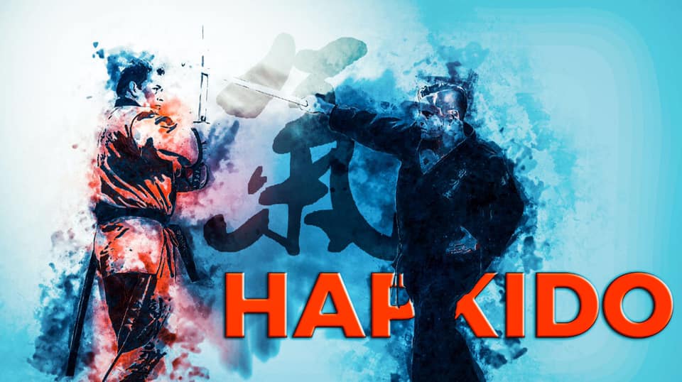 Hapkido CKA Shalo Smart Training
